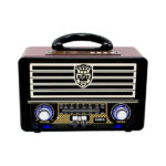 Bluetooth Radio MK-113BT